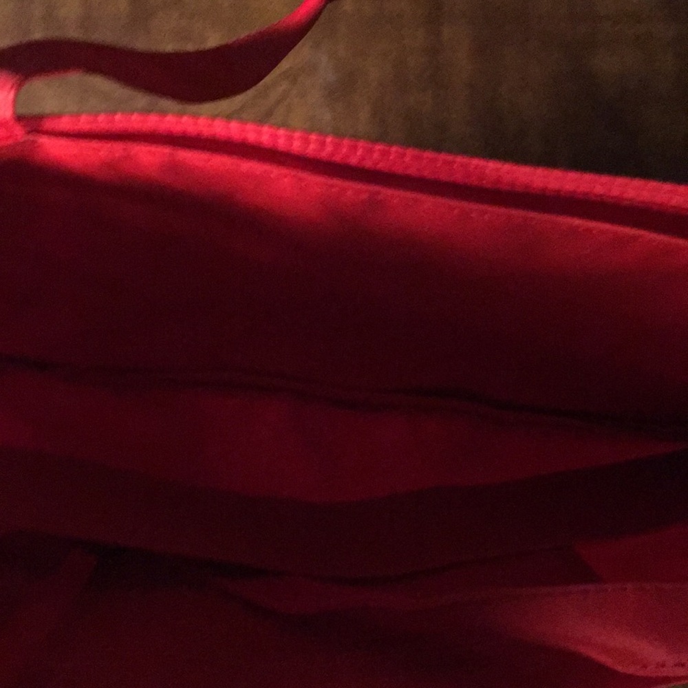 host pick 🎉🎉🎉Cute pet bag - Picture 3 of 3
